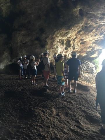 Casa De Campo Rio Arriba Arecibo Dış mekan fotoğraf